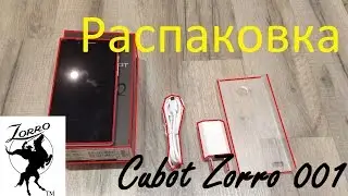 Посылка с Aliexpress: Cubot Zorro 001 Распаковка\Cubot Zorro 001 Unpacking