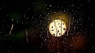 Silvestre Fonseca -  Melodia de uma noite