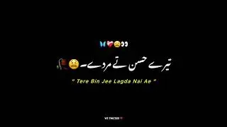 Jhol | Lyrical Video Song | Black Screen | Status | CokeStudio Pak |