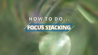 How to do Focus Stacking