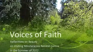 Reflections on Beauty