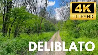 Deliblato Sands 🇷🇸【4K】Experience Serbia - Walking Tour