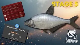 New Year Challenge 2025 - Stage 5 - Russian Fishing 4