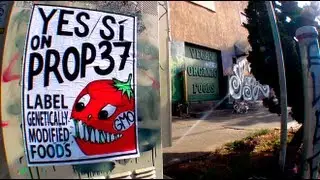 Voice of Art - Label GMOs with Nuclear Winter
