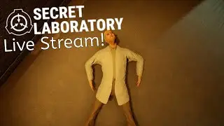 Die, respawn, die, and repeat | SCP: Secret Laboratory