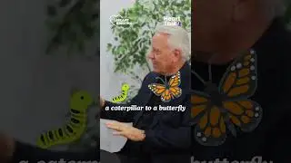 🐛➡️🦋 Change vs. Transformation (Part 1)