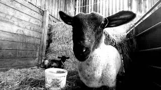 First dance practice post lockdown in remote barn, Moretonhampstead,  Dartmoor, 22 May 2021