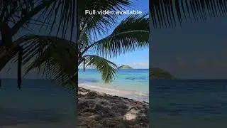 Good vibes music ☀️