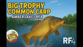 Russian Fishing 4 | Amber Lake✨| Tropy Common Carp |