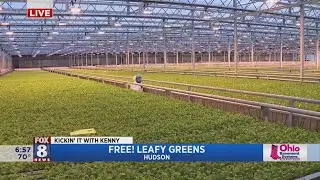 Kenny's surrounded by salad at Free! Leafy Greens