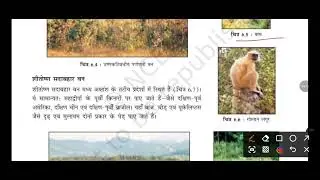 NATURAL VEGETATION AND WILDLIFE GEOGRAPHY| NCERT| CLASS 7|CHAPTER  6|HINDI READING