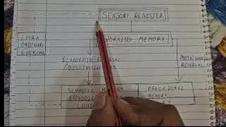 Consolidated Memory Model