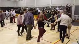 Sardanes a plaça(8)