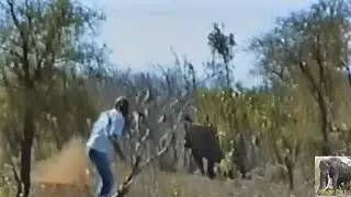 Biggest Kruger Park Idiot EVER. Idiot vs Rhino