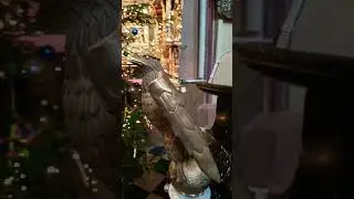 Ołtarz Słowa Bożego