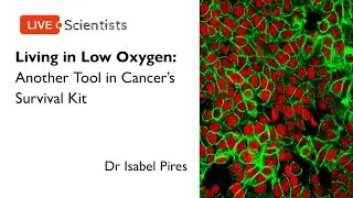 Living in Low Oxygen: Another Tool in Cancer's Survival Kit | Dr Isabel Pires | 18 May 2021