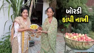 બોર તોડવા ગયા અને...😍 બોરડી કાપી નાખી 🤔 @JalpaAhirVlogs