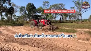 หน้างานเหมา7ใบเทา ดันดินเต็มใบส่งท้ายปีเก่า MASSEY FERGUSON 4708 