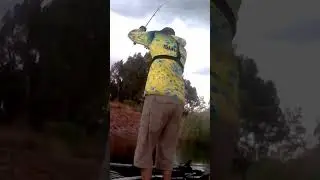 #fishing #bassfishing #TangleWood