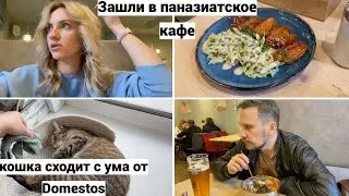 Vlog#886 Domestos пахнет Колой/ Паназиатская кухня KIMCHI/Съемный воротничок/Кошка балдеет от хлора