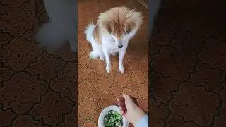 本日の朝食✨鯛皮湯引きのブロッコリー和え👍