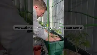When to Plant Indoors and Outdoors! #tinygarden #startingseeds #smallgarden