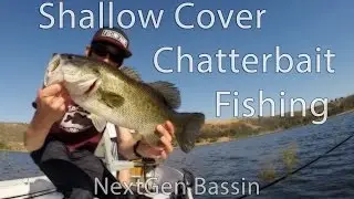 Shallow Cover Chatterbait Fishing