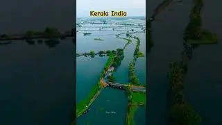 Kerala Village Vibe ।।#kerala #village #nature #shorts #monsoon #trendingshorts