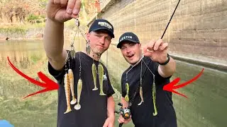 FISCHSCHWARM-K&ouml;der soll Monsterbarsch fangen!?
