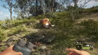 theHunter:how to get money fast