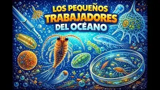 Los pequeños trabajadores del oceano