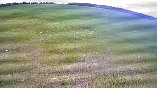 VID00037