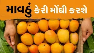 Big Debate |Prime Time | માવઠું કેરી મોંઘી કરશે | Kesar Mango | Rain In Summer | News18 Gujarati