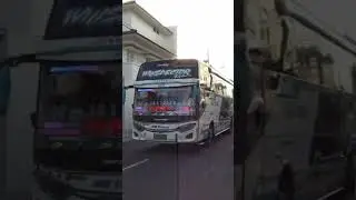 Telolet ALZIFA Bus QQ Trans 