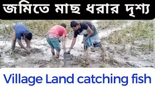 Village Land catching fish | Amazing catch fishing video 2023 Fishing by Rubel |জমিতে মাছ ধরার দৃশ্য