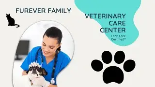 Fear Free Certified&reg; | Furever Family | Veterinary Clinic Promotional Video |