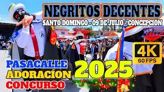 PASACALLE NEGRITOS DECENTES 2025 / Nueve de Julio- Concepción