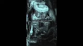Aggregate / Mallard Theory - Split [Full Album]