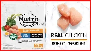 Nutro Natural Choice Large Breed Adult & Senior Dry Dog Food, Chicken