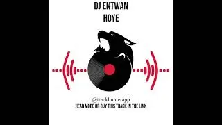 DJ Entwan's Hoye from Techaway Records