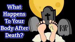 What Happens To Your Body After Death  - Science Explained
