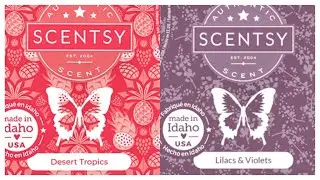 Tester Tuesday Desert Tropics and Lilacs & Violets (Scentsy Reviews) # 162