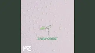 Rainforest