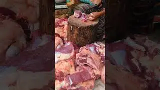 Non Stop Meat Cutting Butcher