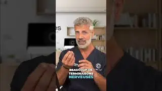 Clitoris Vs Penis : 7 Diff&eacute;rences et Similitudes ! (Partie 1)