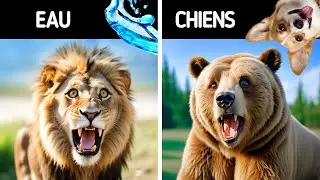 70 faits rares sur les animaux qui vous feront dire 'Vraiment' ?