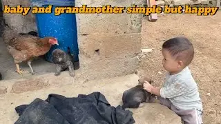Simple & Happy Life Grandma and Baby Feeding Chickens & Cooking Pig Feed