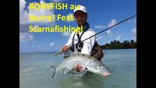 Rodmaps, objectif Bonefish en Guadeloupe!