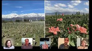 Mendoza in different season - Argentina Travel Panel - Napa Valley Wine Academy