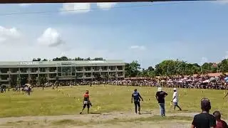 Pavia carabao caroza finals(pink carabao wins)🐄🤠